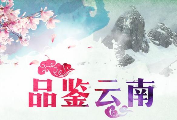 雙飛云南9日游:昆明大理麗江西雙版納